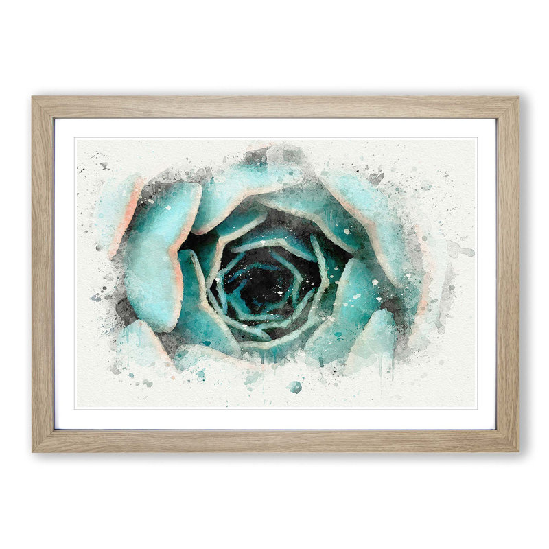 Pink Tipped Succulent Plant - Framed Print, 50cm H x 76cm W x 2cm D, Oak