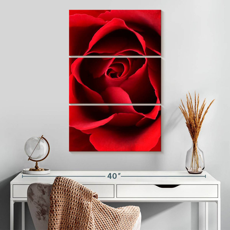 Harnek, gros plan, vue, rose rouge, H 32 po x l 20 po