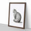 A Sitting Cat by Jean Bernard - Framed Print-87666186-87666188