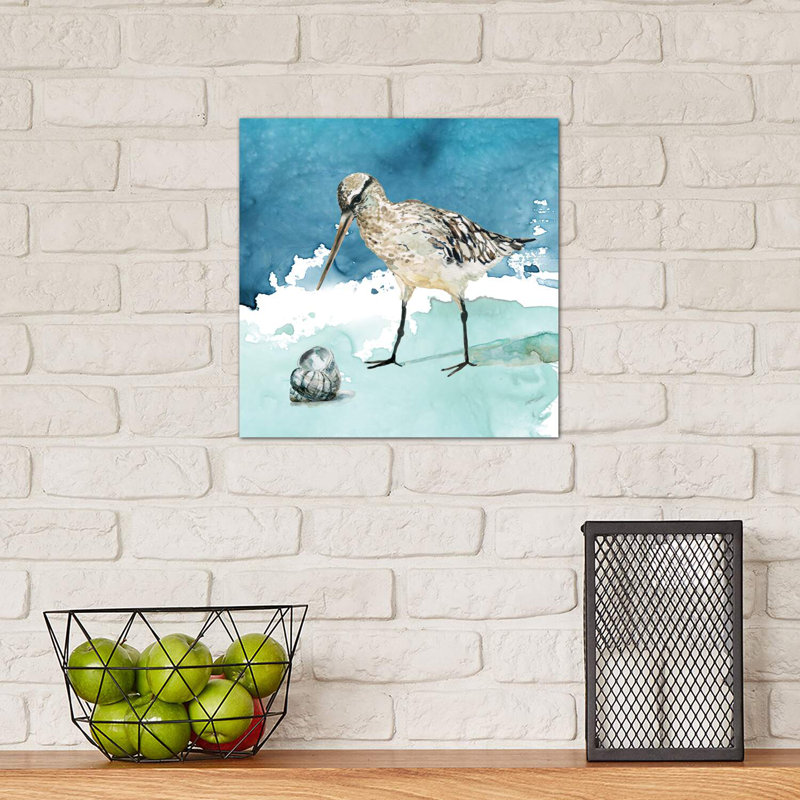 Delray Sandpiper II by Carol Robinson - Wrapped Canvas Painting, 30.48 cm H x 30.48 cm W