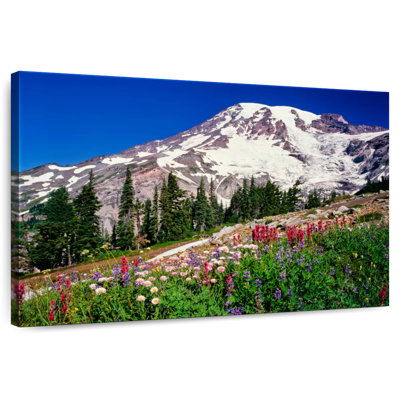 Alvord Summer Wildflowers Bloom in Paradise Park