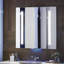Verdera® Voice Lighted Mirror with Amazon Alexa-741368500