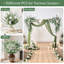 100 tiges d'eucalyptus mélangées avec du gypsophile, tiges de verdure artificielle et fleurs artificielles de gypsophile en vrac pour bouquets à faire soi-même, centres de table de mariage, décorations florales