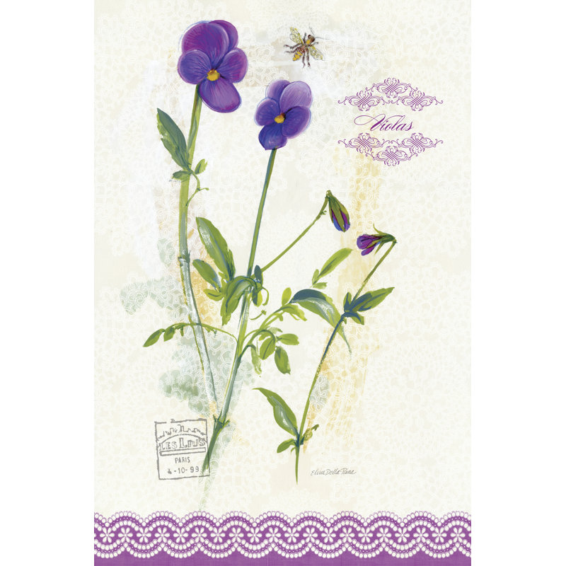 Flower Study On Lace XIV by Vision Studio - Wrapped Canvas Print, 46cm H x 30cm W 
