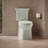 Corbelle Comfort Height Elongated Toilet Bowl with Skirted-97900958