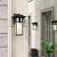 Manhattan 1-Light Outdoor Wall Lantern-14887176