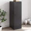 Alyda Steel Accent Cabinet-893228388
