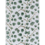 Pignoli Wallcovering