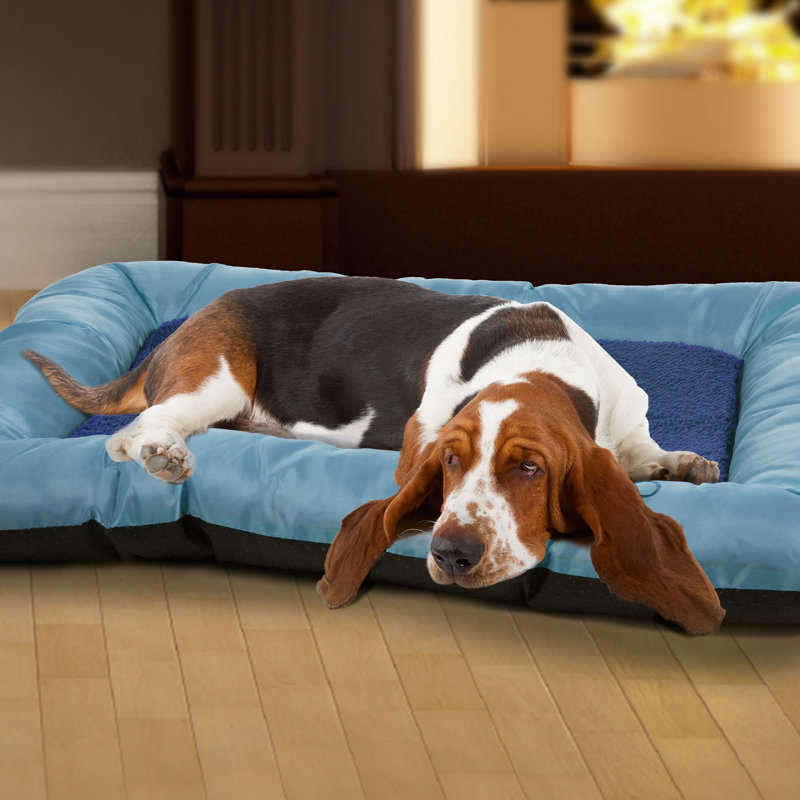  Housse de remplacement pour lit pour chien PETMAker, Île Seymour Nord, Galapagos, Moyen (l 33 po x P 24 po x H 3,5 po)