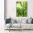 The Rainforest - Wrapped Canvas Print