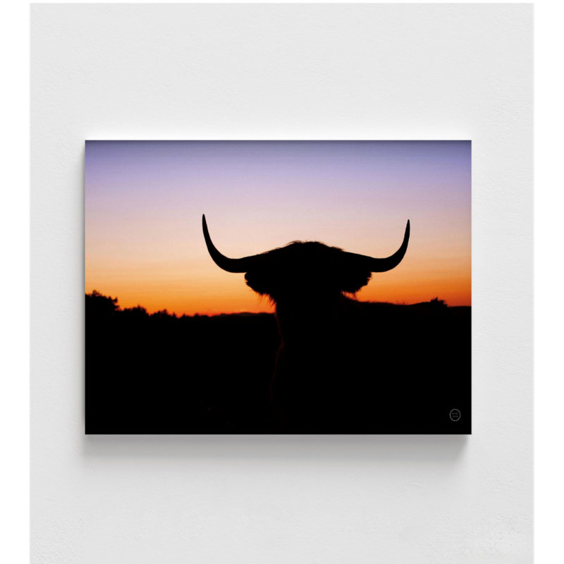 Reproduction de photo de taureau, suspension murale tête de taureau, art de grand taureau, décoration murale Western, vache, art mural, art mural surdimensionné