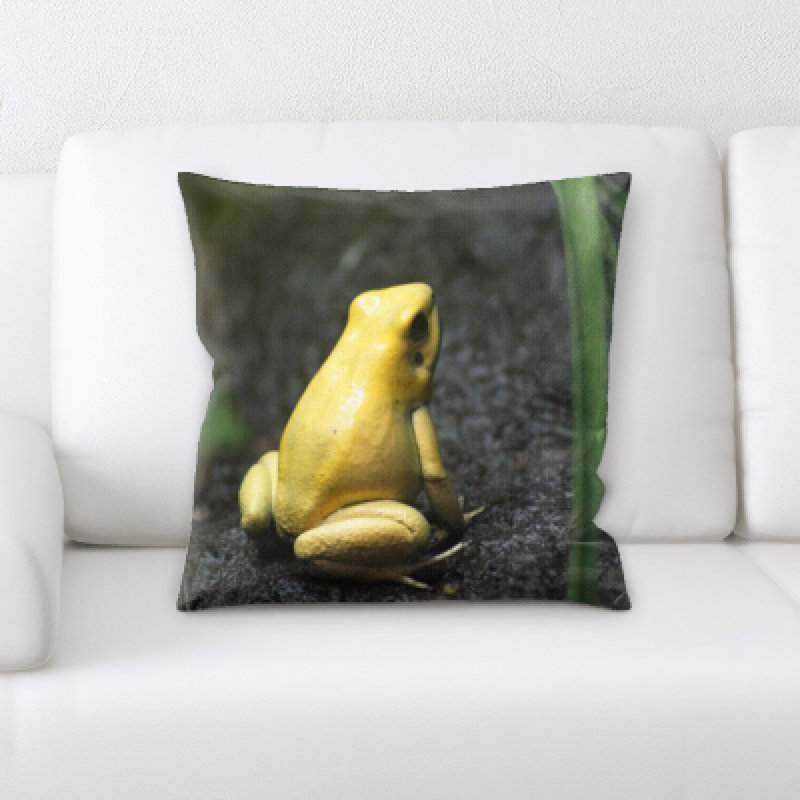 Coussin de grenouille