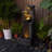 Jenilee Weather Resistant Fountain with Light