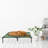 PETMAKER 36x29.75-Inch Elevated Dog Bed - Pet Bed for Large Dogs, Green-136279472-136279476