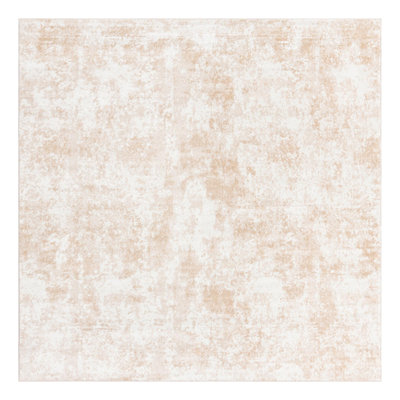 Indoor Rug