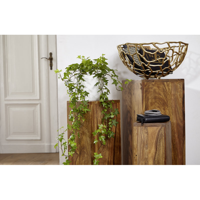 Maxille Plant Stand - Set of 3, Sheesham