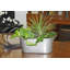 Refroidisseur de baignoire ovale de 18 po Hosley. Pot à fleurs de jardin Idéal pour les arrangements floraux de jardin de patio