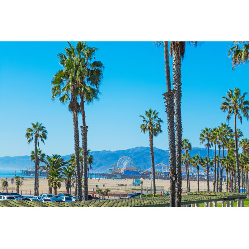 Palm Trees - Wrapped Canvas Print, 30cm H x 46cm W x 3.8cm D