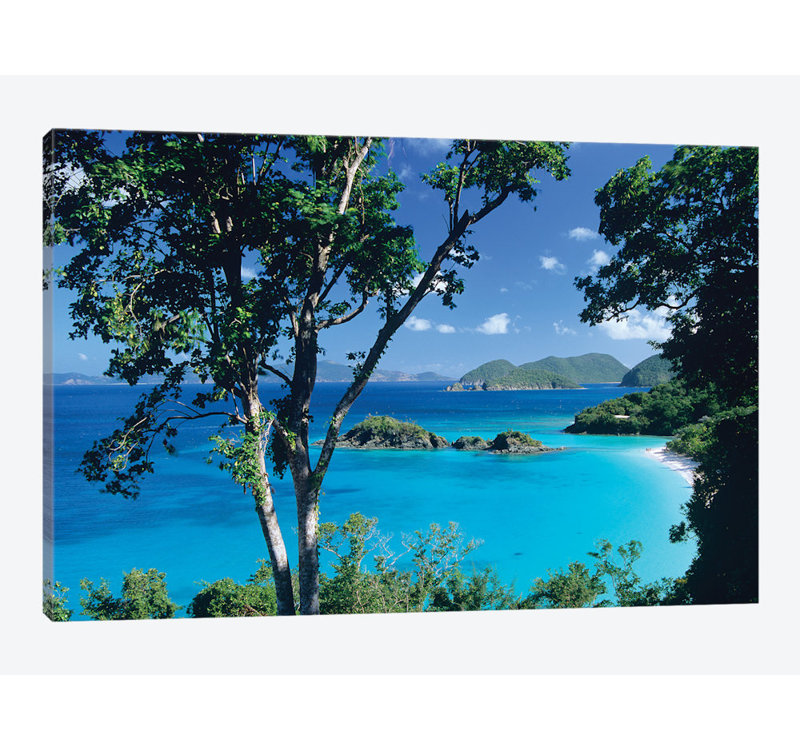 « caraïbes sîn from trees, virgin îlot national park », reproduction d’impression sur toile, H 12 po x l 18 po x P 1,5 po