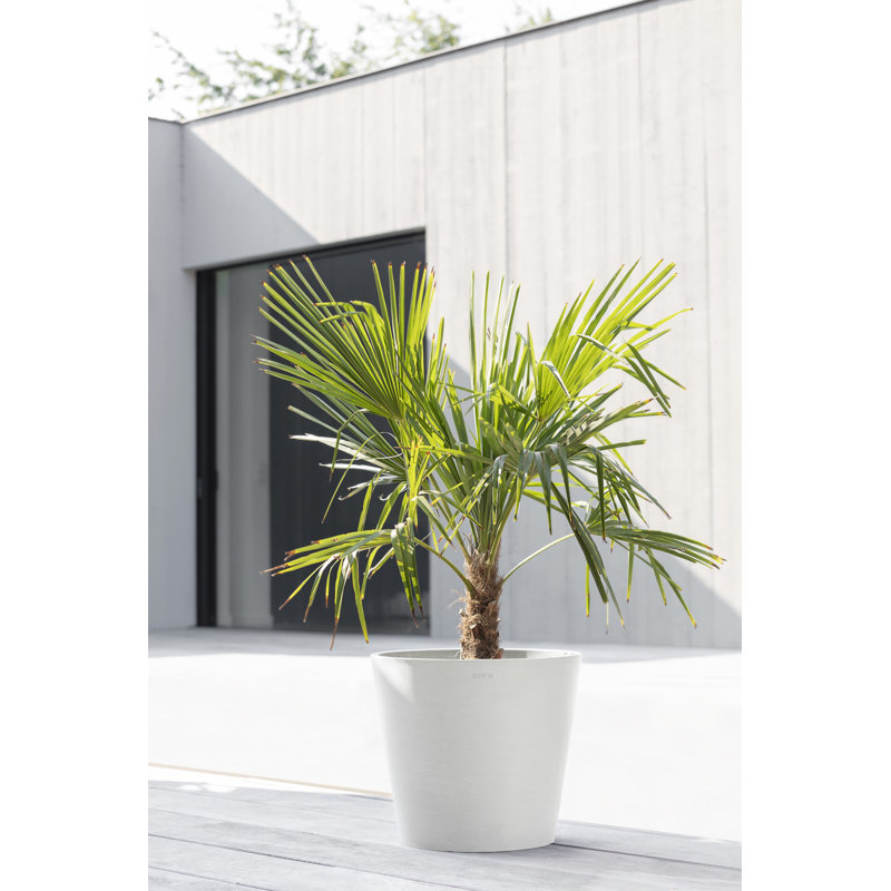Ecopots Indoor/Outdoor Modern Round Recycled Plastic Planter Flower Pot, 13.75" H x 15.75" W x 15.75" D, Pure White, No