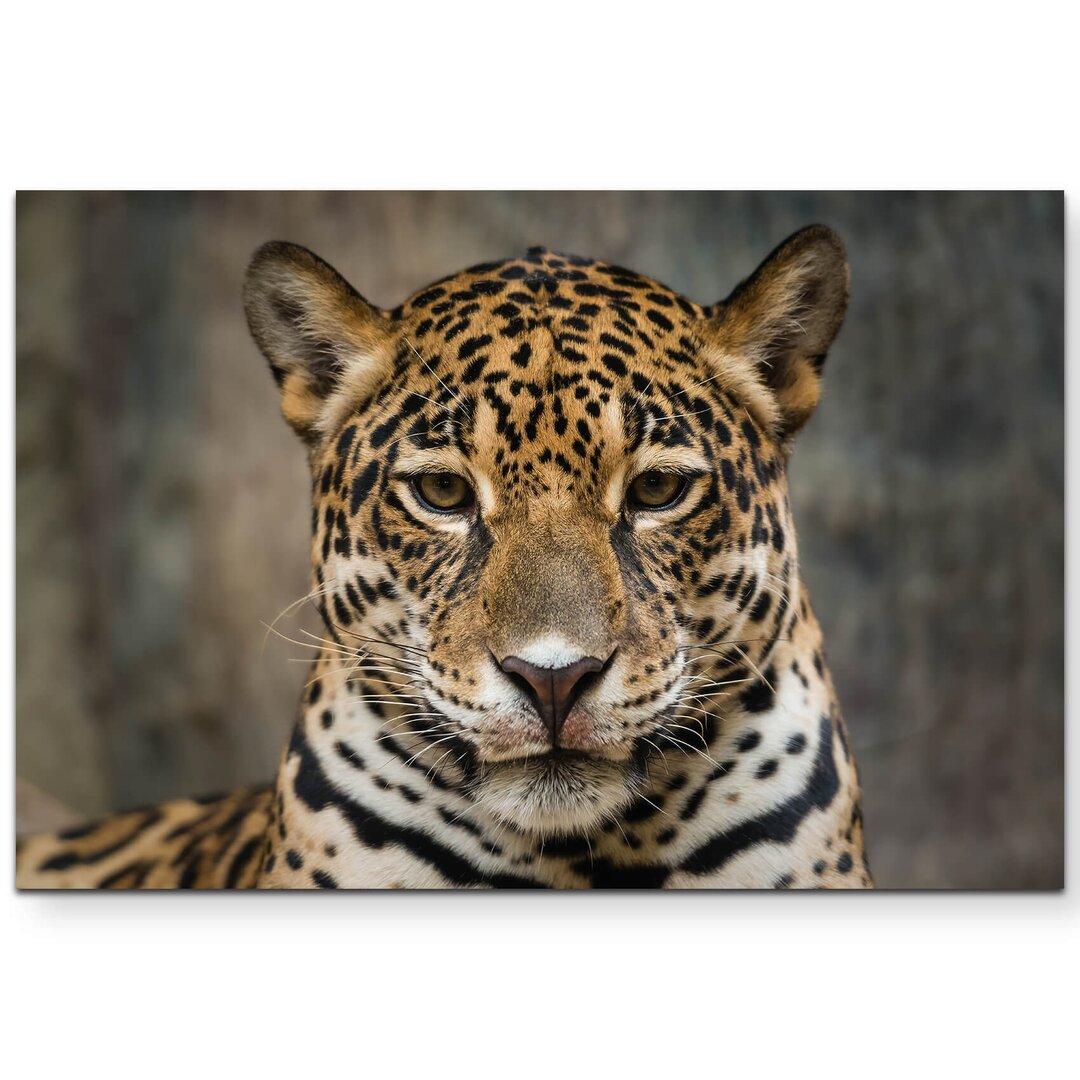 Leinwandbild Portrait eines Jaguar