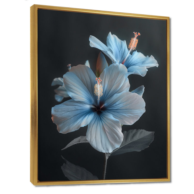 «Blue Crystal Hibiscus Botanical Beauty II - Hibiscus», art mural, Toile avec cadre flottant or, H 40 po x l 30 po x P 1,5 po