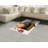 Pug High Density Long Fiber Poly Threads Decorative Area Rug Carpet-42029999