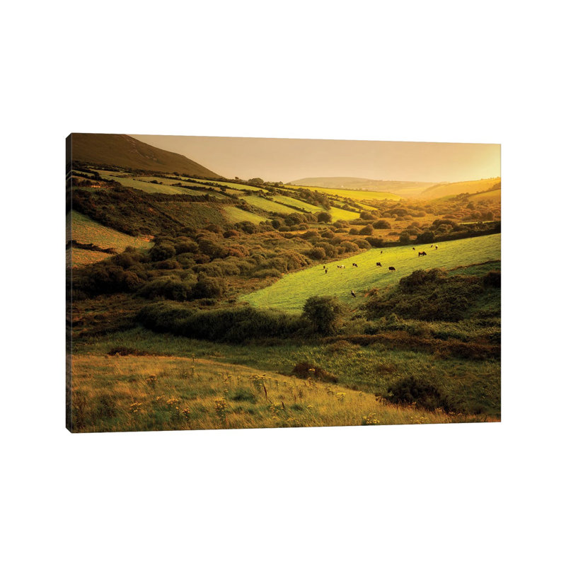Irish Hillside by Dennis Frates - Wrapped Canvas Print, 101.6 cm H x 66.04 cm W x 1.91 cm D