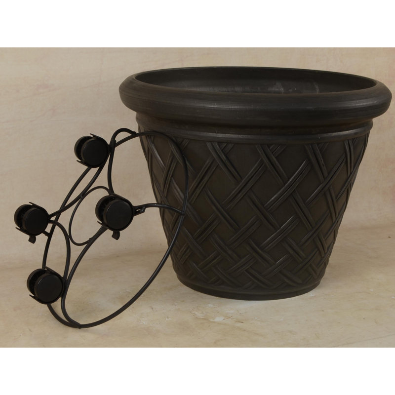  planteur De Pot, Charbon foncé