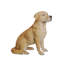 Statue de chien retriever du Labrador jaune assis-1866029697