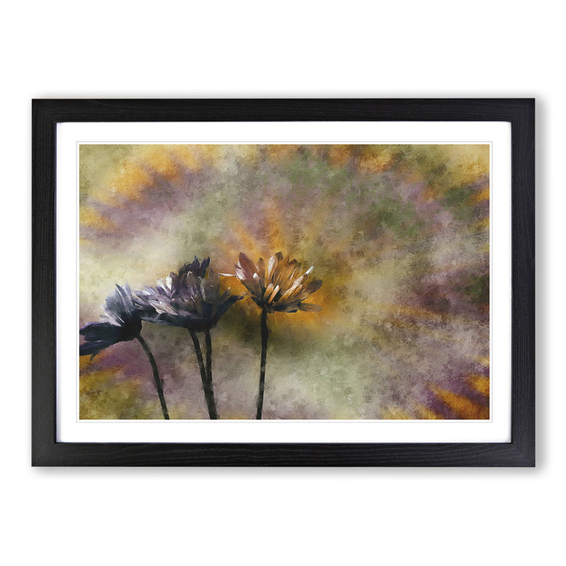 Three Daisies - Picture Frame Graphic Art, Black, 48cm H x 65cm W x 2cm D