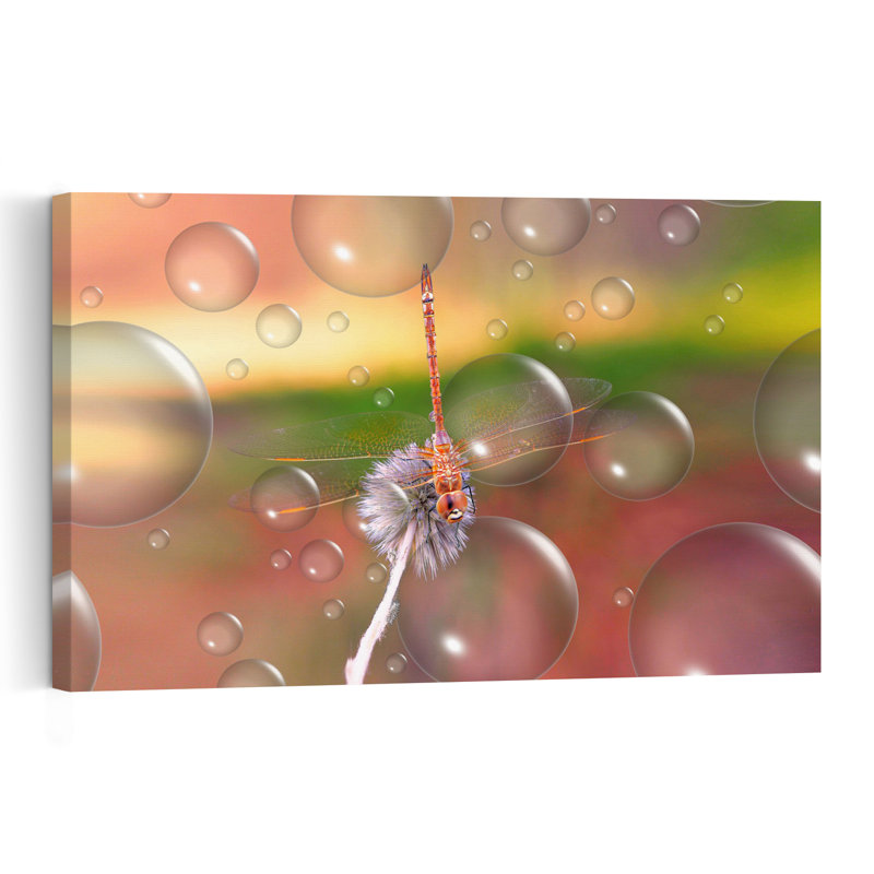 Dreamy Dragonfly Bubbles Colorful Delicate Dreamy Dragonfly Nature Summer Wall Art Print 1 Piece Wrapped Canvas Wall Art