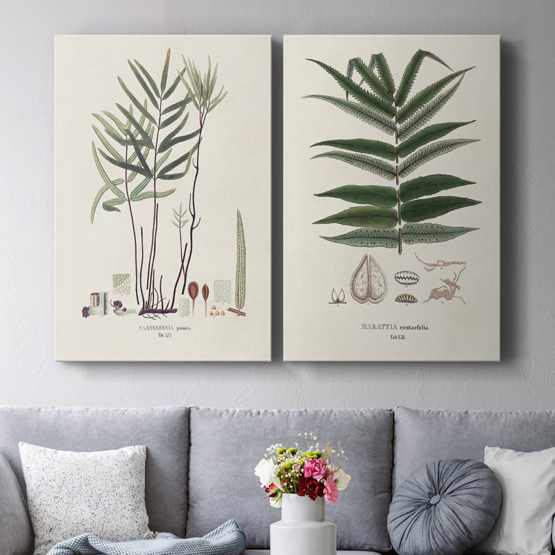 Toile tendue avec galerie Botanical Society Ferns, H 27 po x l 36 po