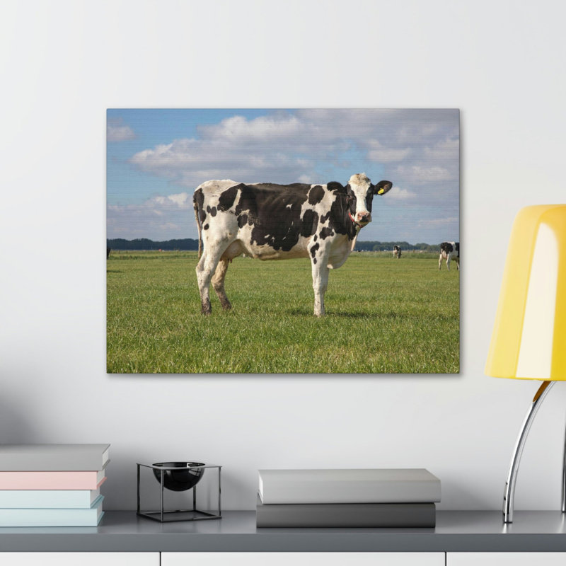 Vache majestueuse, impression d'art animalier, H 18 po x l 24 po