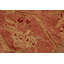 Tapis oriental vert clair / orange / rose clair en laine noué à la main 8 pi 10 po x 12 pi 2 po Eladia