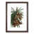 Walnut Framed selected