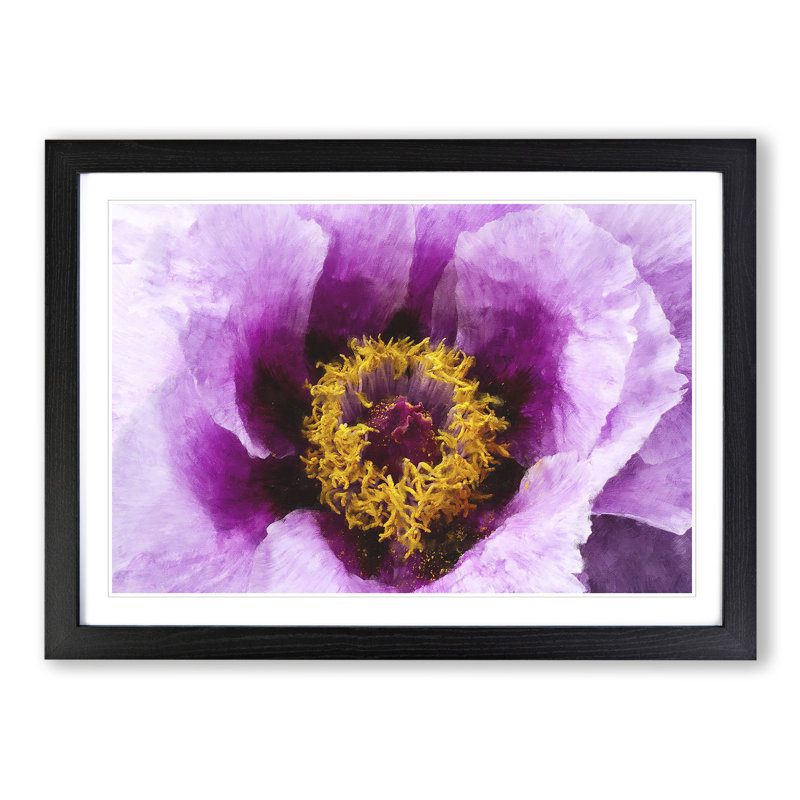 Purple Peony Flower Vol.1 - Framed Print, Black Framed, 36cm H x 48cm W x 2cm D