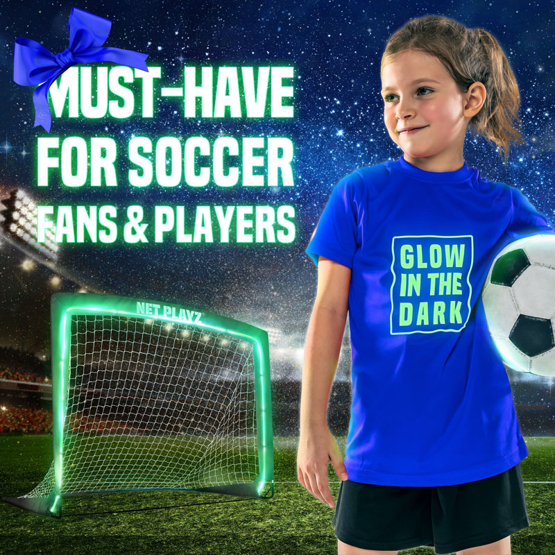 Net Playz Plastic Goal with Carrying Case