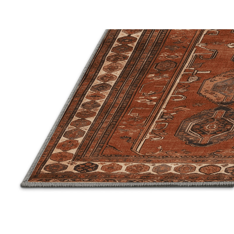 Tapis brun turc lavable à la machine, Tapis de couloir 2 pi x 4 pi