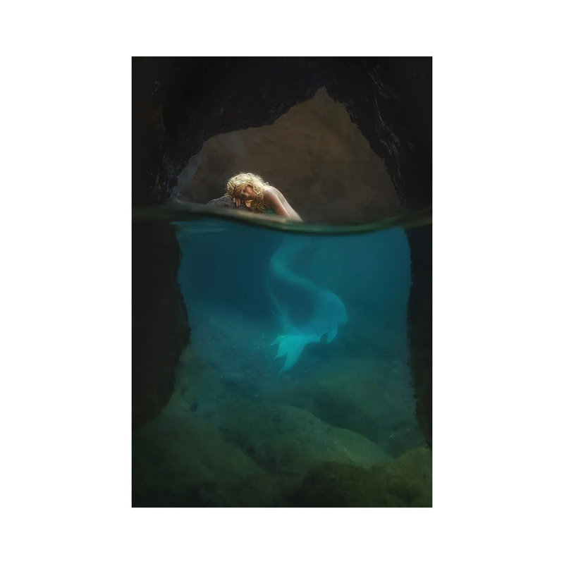 Le reste de la sirène, H 26 po x l 18 po x 1,5 po