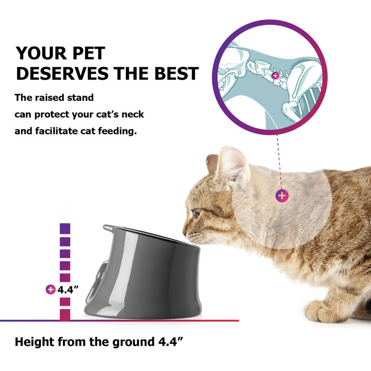 Tomlinson's Feed  Managing Your Cat's Weight