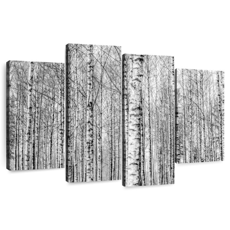 Forêt de bouleaux nus Harnek, H 22 po x l 36 po