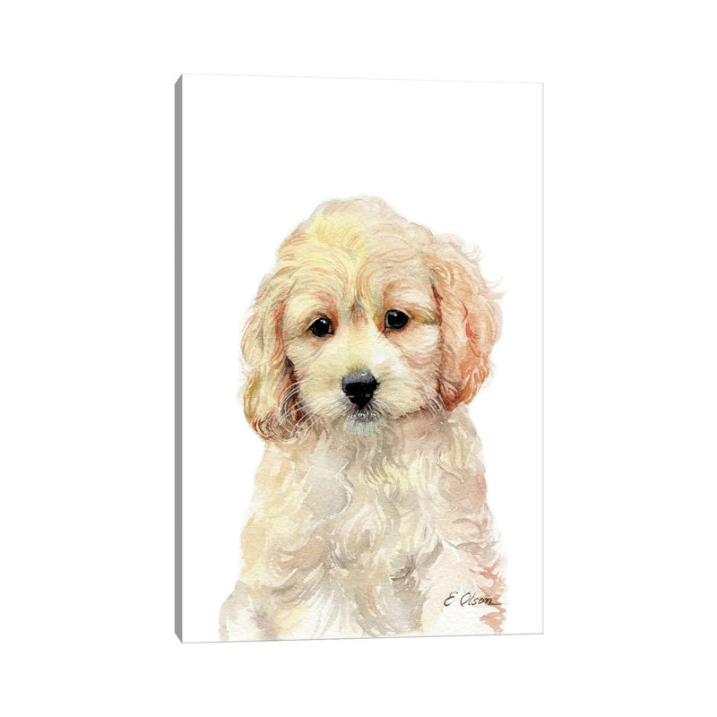 Cockapoo Puppy - Wrapped Canvas Painting, 45.72cm H x 30.48cm W x 1.91cm D