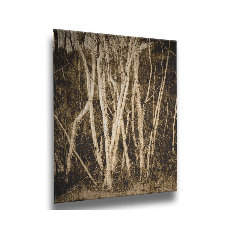 Bouleau d'automne par Hal Halli, Métal, Non, H 24 po x l 32 po x P 1 po