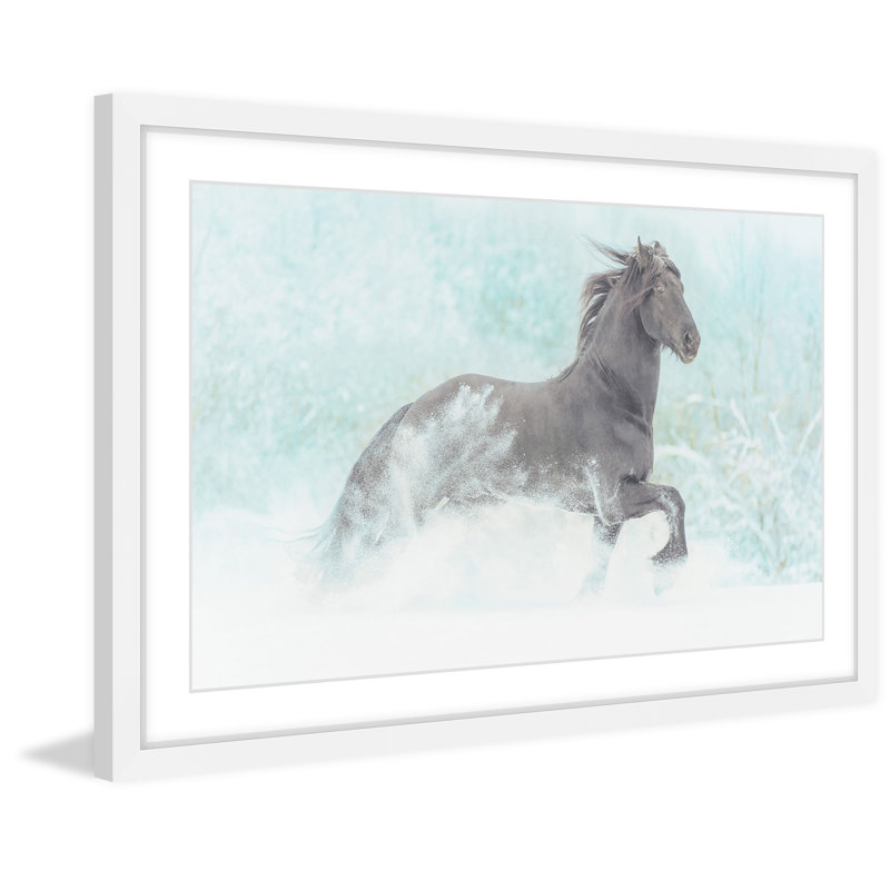 « gambades equus », reproduction d’art encadrée, H 16 po x l 24 po x P 1,5 po