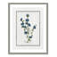 Colombe Soft Botanical I - Art encadré avec fond perdu-72514513-72514517