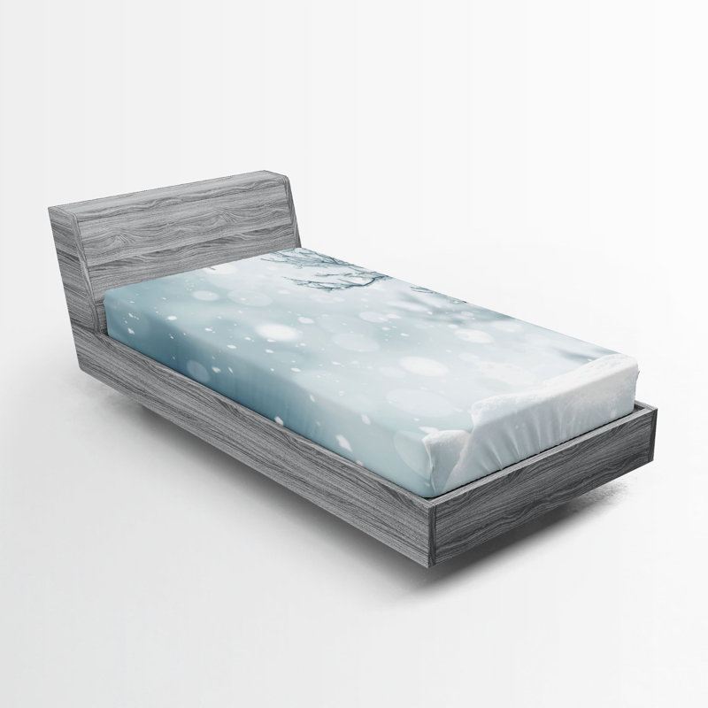 Ensemble de 2 draps-housses Ambesonne, Drap-housse simple TG