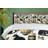 Cat Duvet Cover-97562665