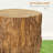 Tree Stump Stool,Round Tabletop Decorative End Table , Concrete Side Table with Wood Grain Finish for Indoors and Outdoors