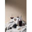 Jancis Robinson Collection Handmade Crystal Red Wine Glass